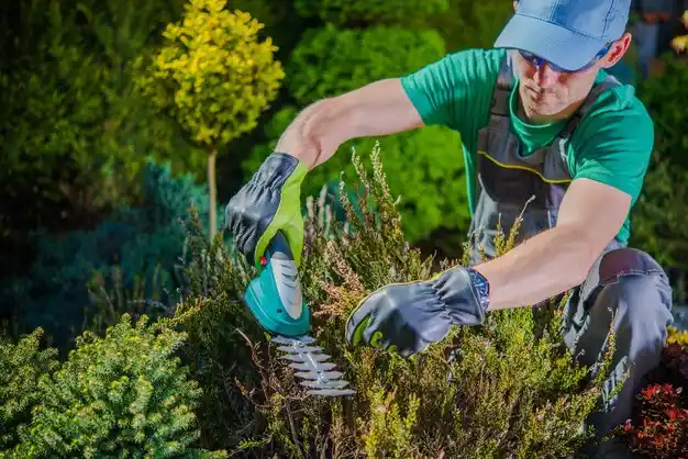landscaping services Perry Heights
